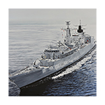 HMSCampbelltownprintThumb