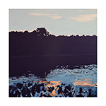 Mapperley-Pond-One-Thumb